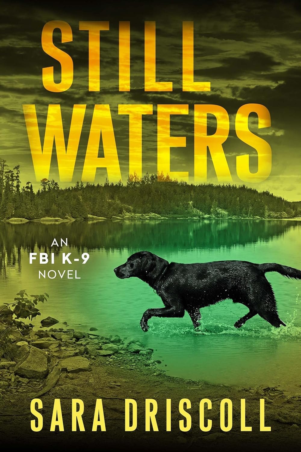 Silent Tides: Unraveling Suspense in Still Waters
